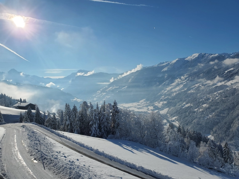 Greiderlhof Urlaub am Bauernhof Aussicht Richtung Süden