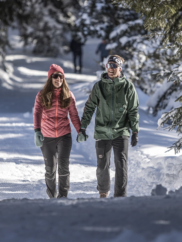 Winter Wanderungen